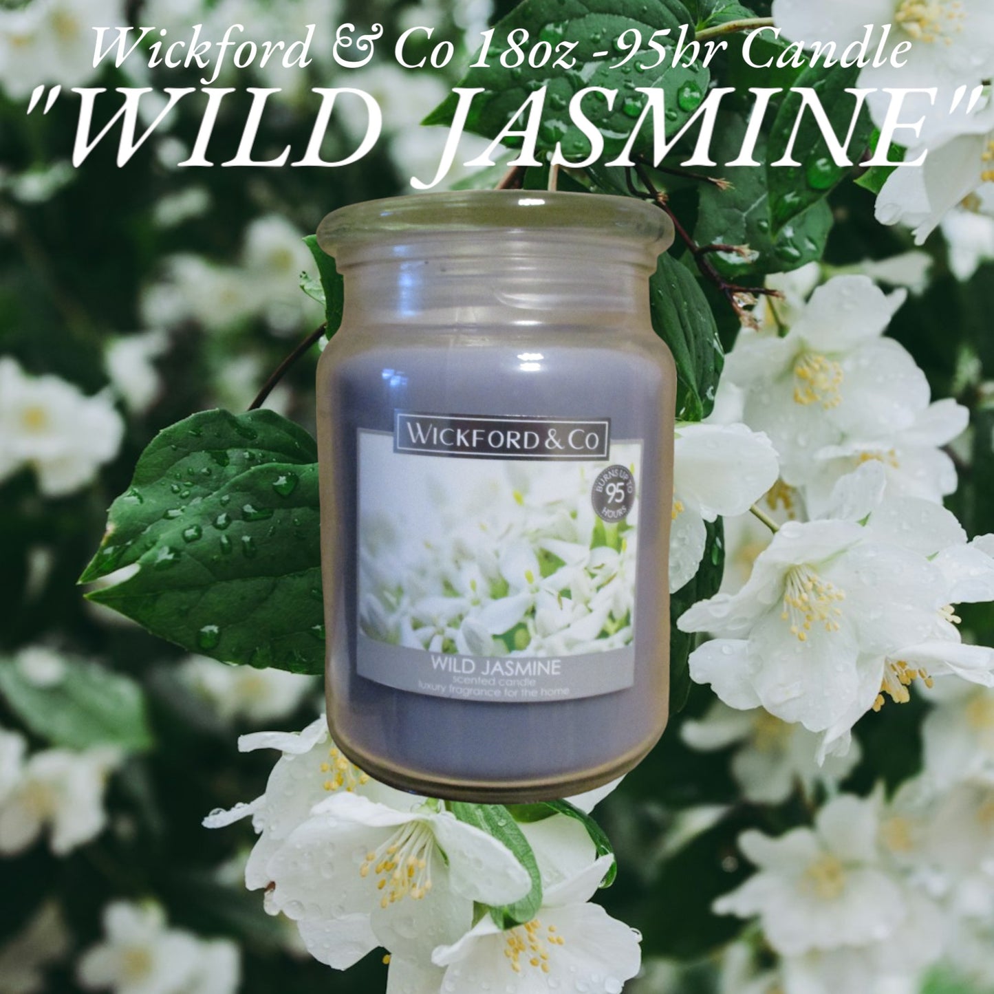 Luxury Scented Candle - (Wild Jasmine) - (By Wickford & Co)