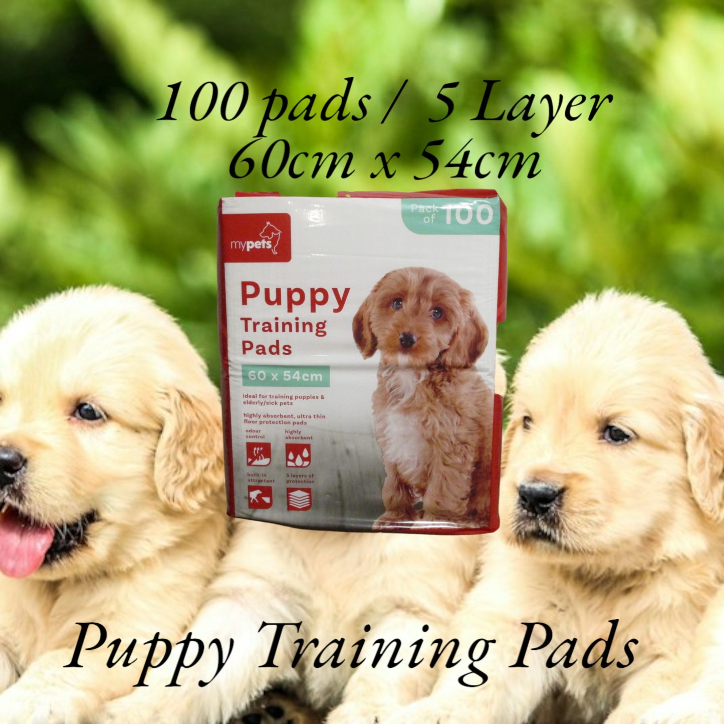 Premium 100 x Puppy Training Disposable Pads / Mat For Young Pets And Older Pet Dogs, With Incontinence